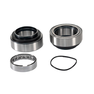 BALERO PARA MASA TRASERA (FAG 566425.H195)